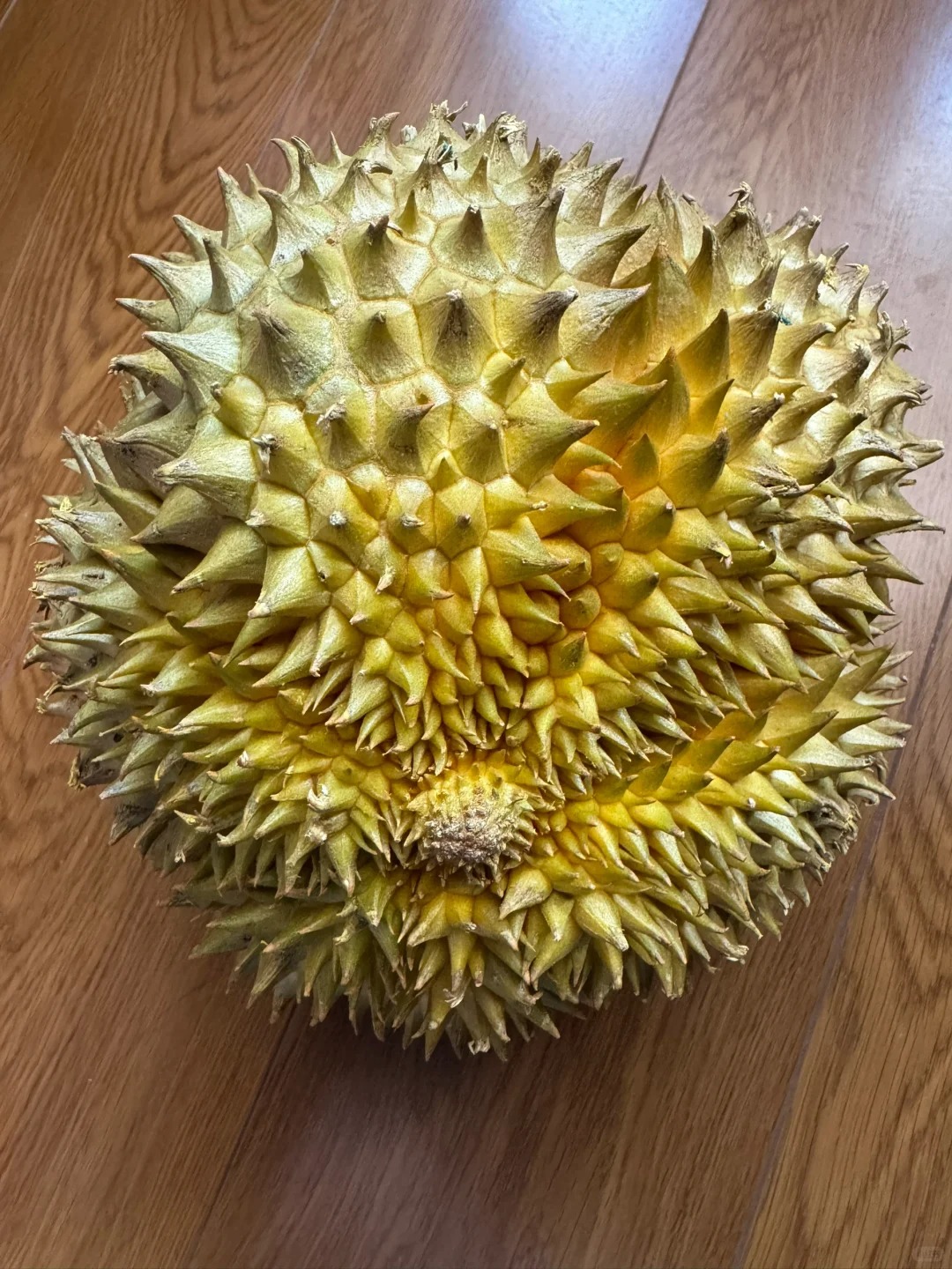 店员说这个榴莲不好
看着很圆满的果形，哪里不好啊？我不理解