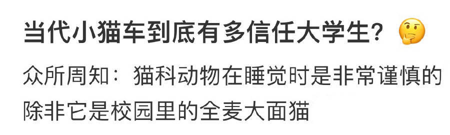 当代小猫到底有多信任大学生?