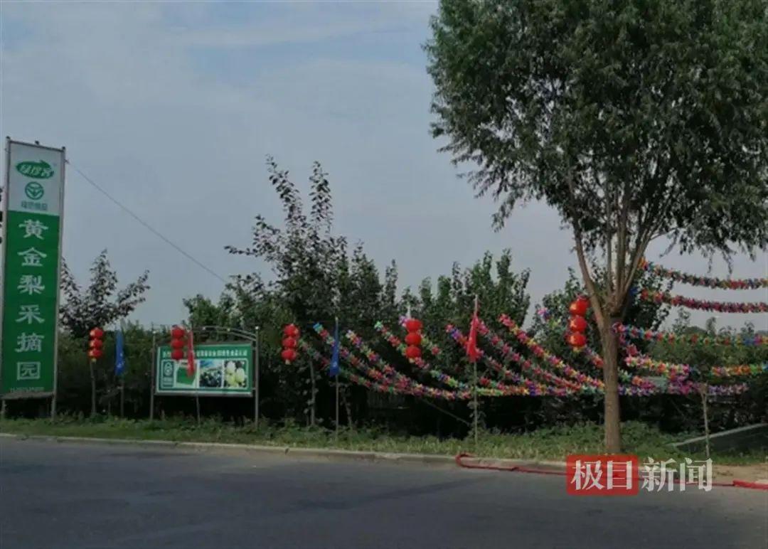 大学生创业种的果园被强拆了，这里有些疑问得跟大家说说。

1，有个大学生啊，20