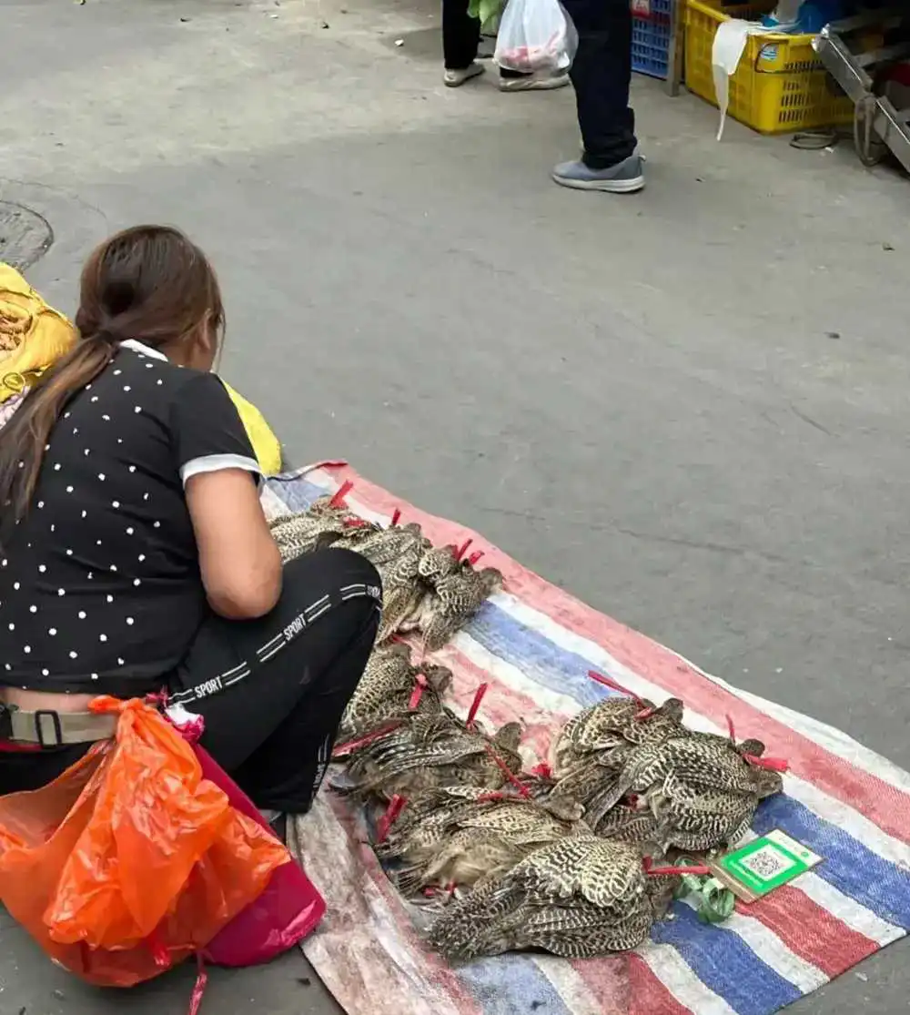 这东西卖了不是犯法吗？
