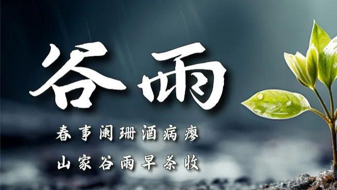 ​谷雨|春事阑珊酒病瘳，山家谷雨早茶收