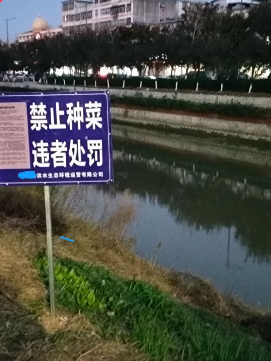说的没毛病