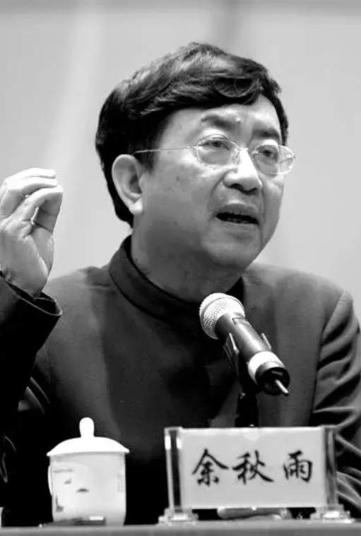 “再过20年，中国还是有可能赶上印度的！”1999年，余秋雨受到了印度某部长的接