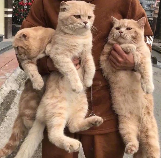 一点都不开心