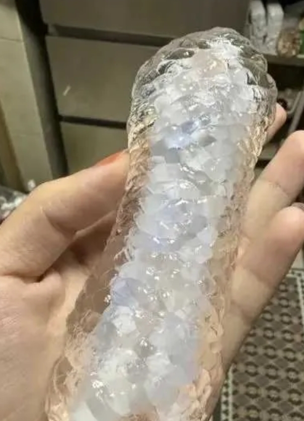 朋友说这是北极冰蟾？怎么喂养？