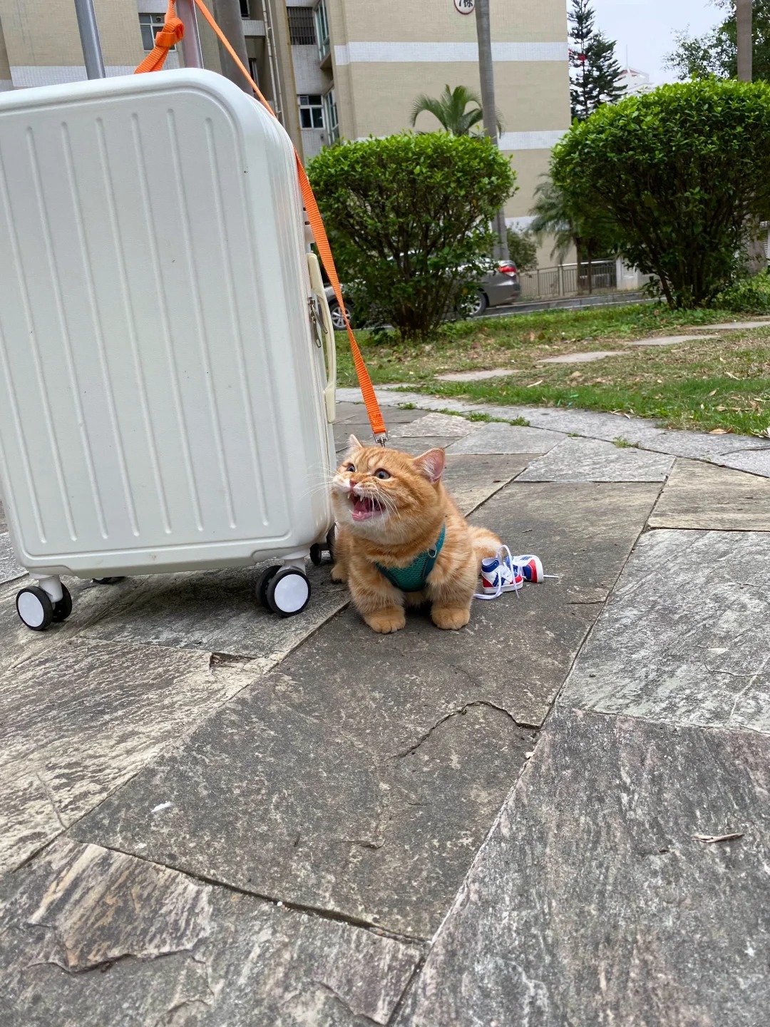 因为脚臭被同居室友赶出门
宝宝越想越委屈