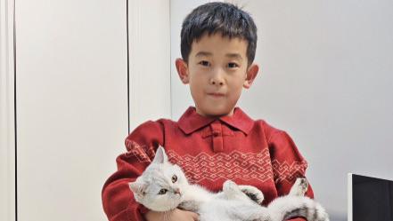 小男孩生气带猫离家出走，到走廊宣布失败：太重！猫的东西太多了