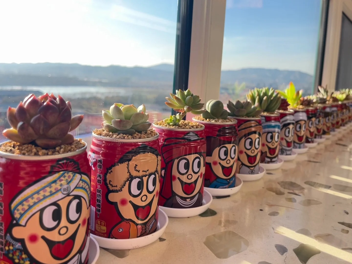 可可爱爱没有烦恼
喝光的旺仔用来装多肉
就像旺仔长了五颜六色的头发～