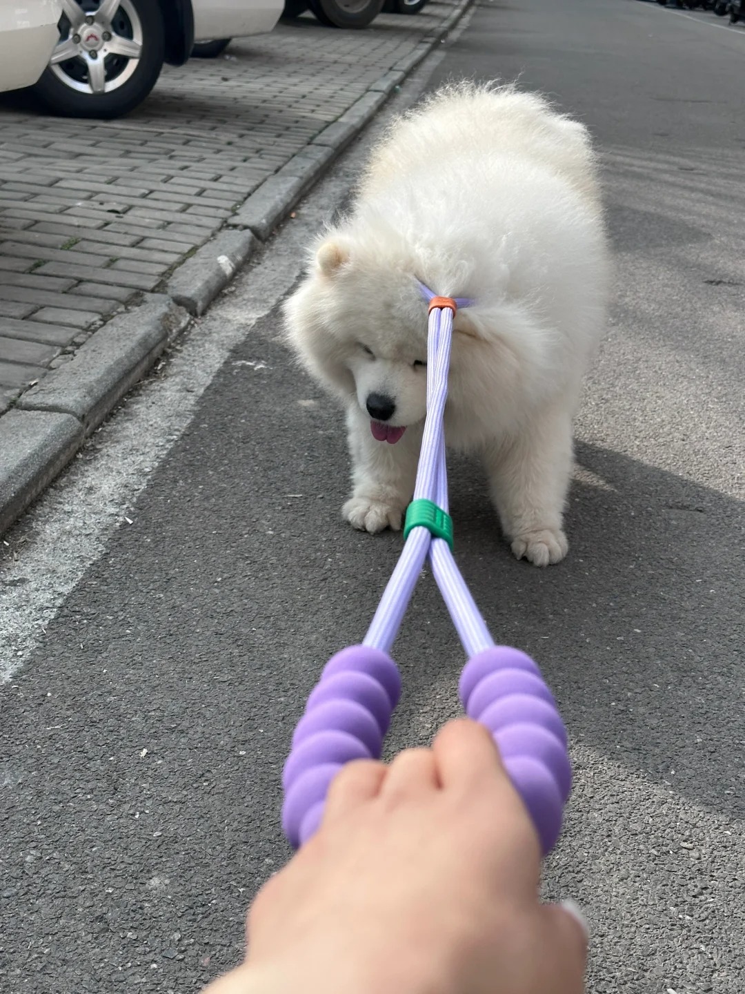 你就犟吧
谁能犟过你呀