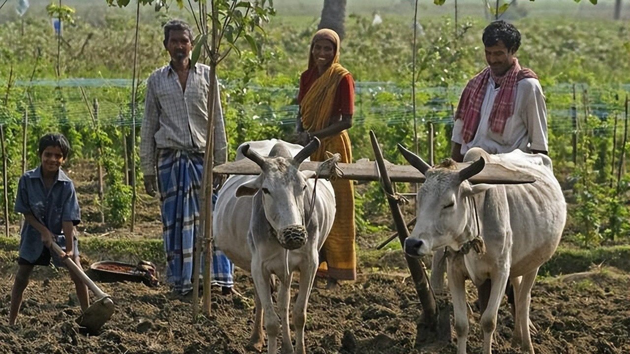 印度姑娘远嫁中国6年，回国后哭了3天，直言：我想回中国