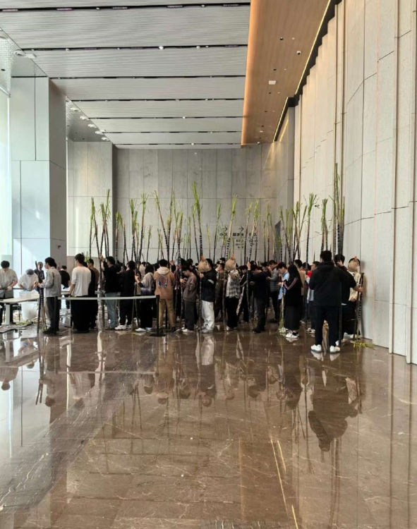 公司福利是甘蔗，意味着什么？