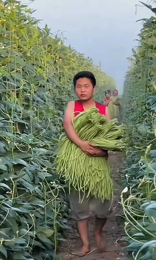 这真的是山东人的现状吗？