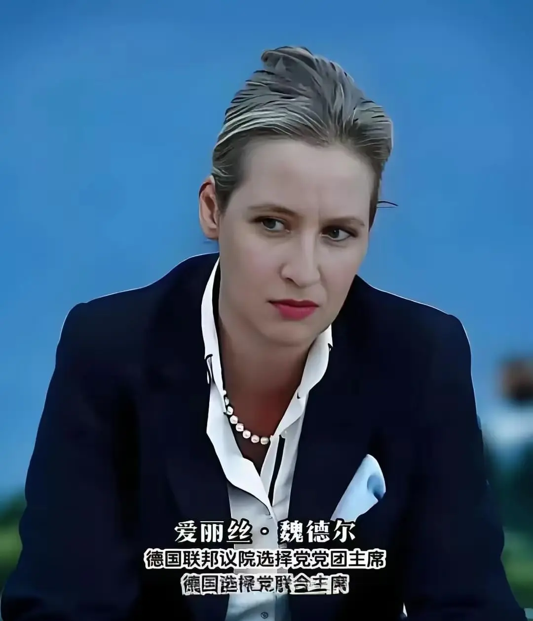 德国政坛变天，选择党魏德尔陷困境