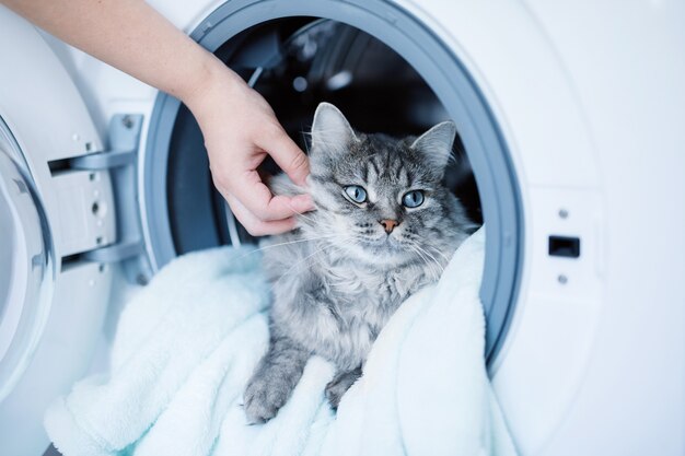 作为一名资深铲屎官，猫毛无处不在的烦恼应该不陌生吧？沙发、衣物甚至空气中都可能飘