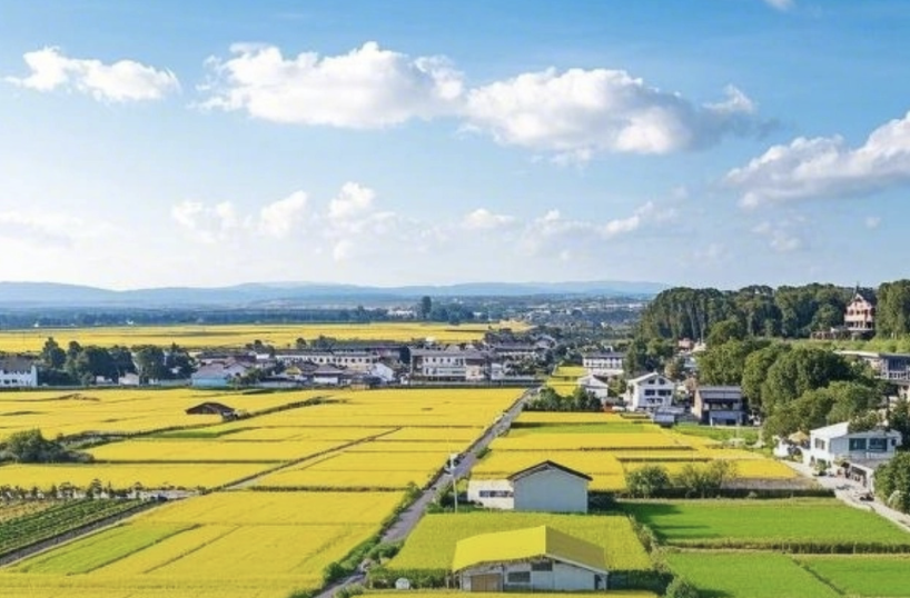 #专家解读中央一号文件亮点#总的来说，2025年中央一号文件着重强调了粮食安全，