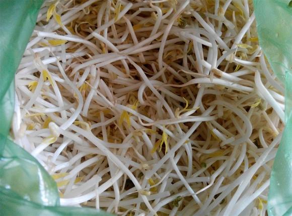 豆芽炒胡萝卜