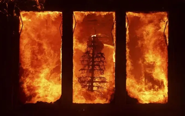 真的，现在感觉咱们够呛能打得过美国，他们是真不怕出人命啊。一个全美第二大的城市洛