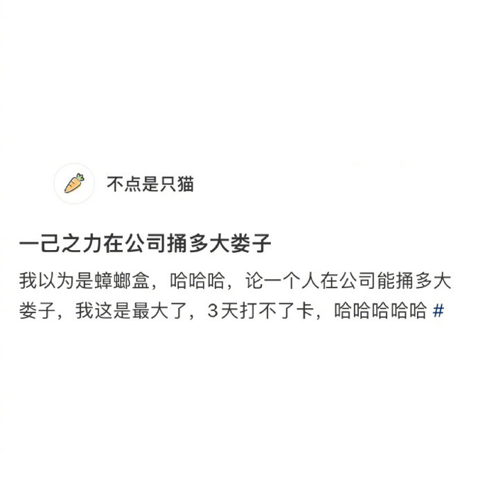 论一个人在公司能捅多大娄子