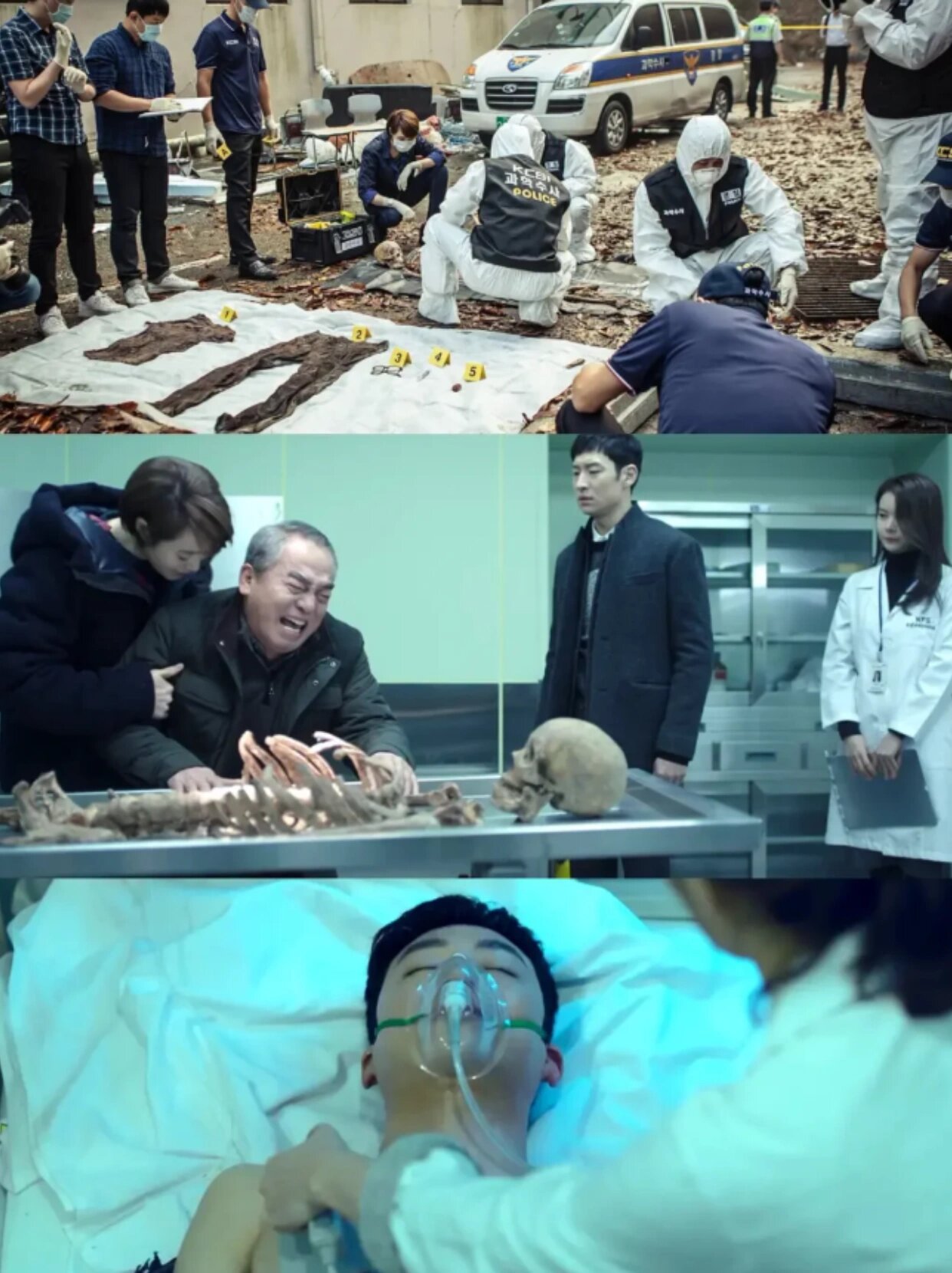 悬疑一绝鲨疯啦