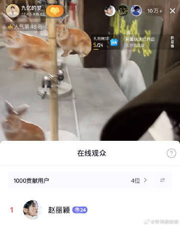 卧槽！！！赵丽颖去林更新直播间了！ 还专门 “王爷喜欢看小兔子哈，给王爷看旋转兔