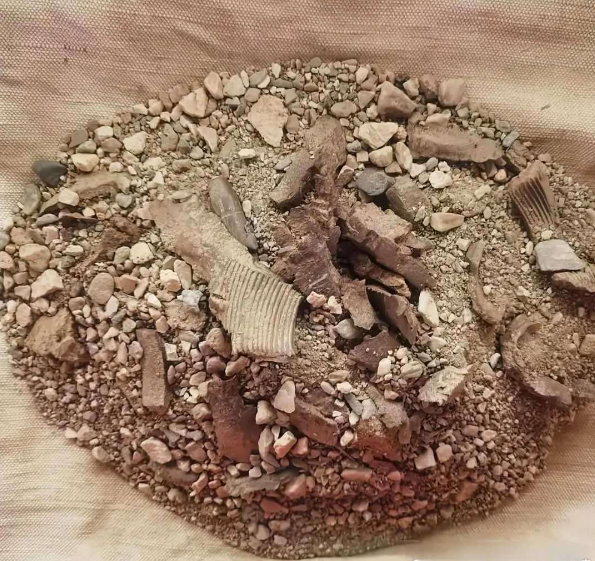 这是上甘岭阵地上的一捧土，看出来什么了吗？