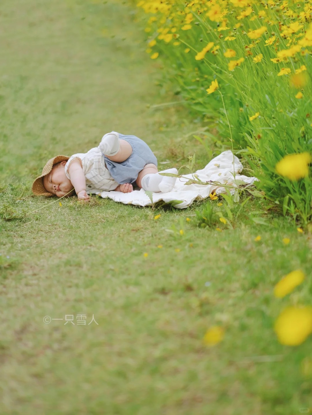 再也拍不出第二张的人生照片📷
人类幼崽第一次见故事里的小黄花🌼

摔进夏天里