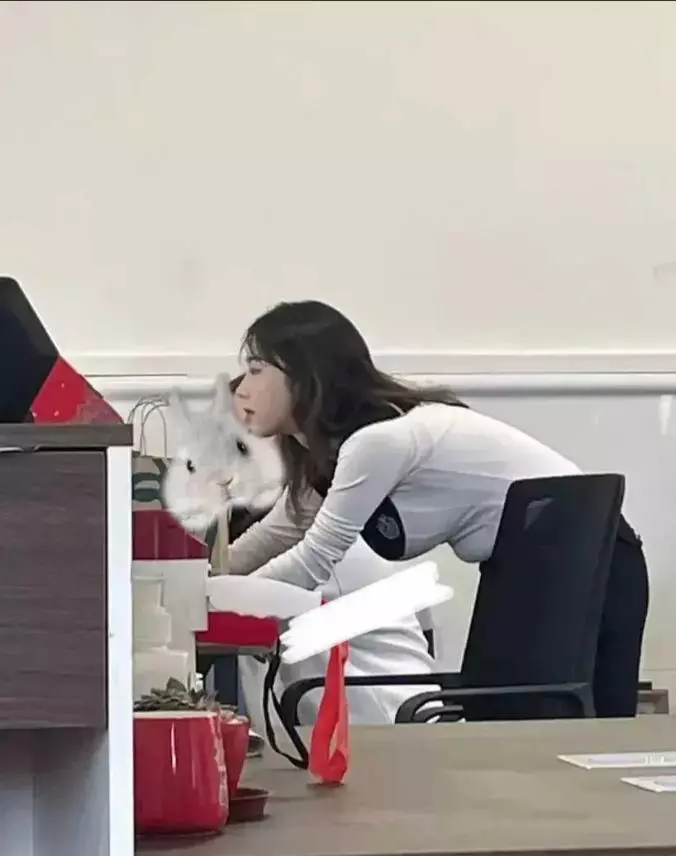 新招来的同事，怎么沟通聊天？