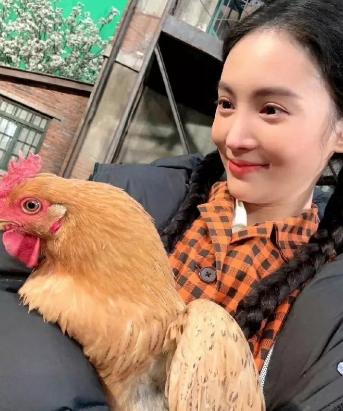 金晨的精神状态果然有点颠儿！她居然把剧组拍戏的鸡带回了家养，还给它取名叫“莫妮卡