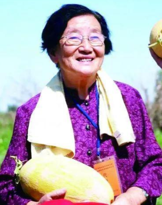 1984年有领导到新疆鄯善视察，研究所盛情邀请大家品尝新品种瓜，一名女研究员千叮