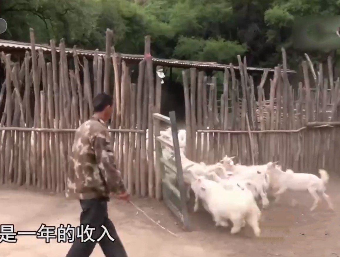 内蒙古通辽，40多岁男子家中午睡时，突闻妻子呼救声，急忙冲出屋外，竟见妻子被彪汉
