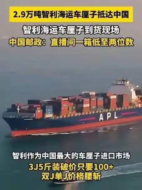 智利这次可真是运气爆棚，接住了“泼天的富贵”。他们大刀阔斧，把国内 92%的车厘
