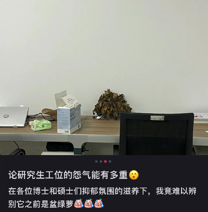 论研究生工位的怨气能有多重