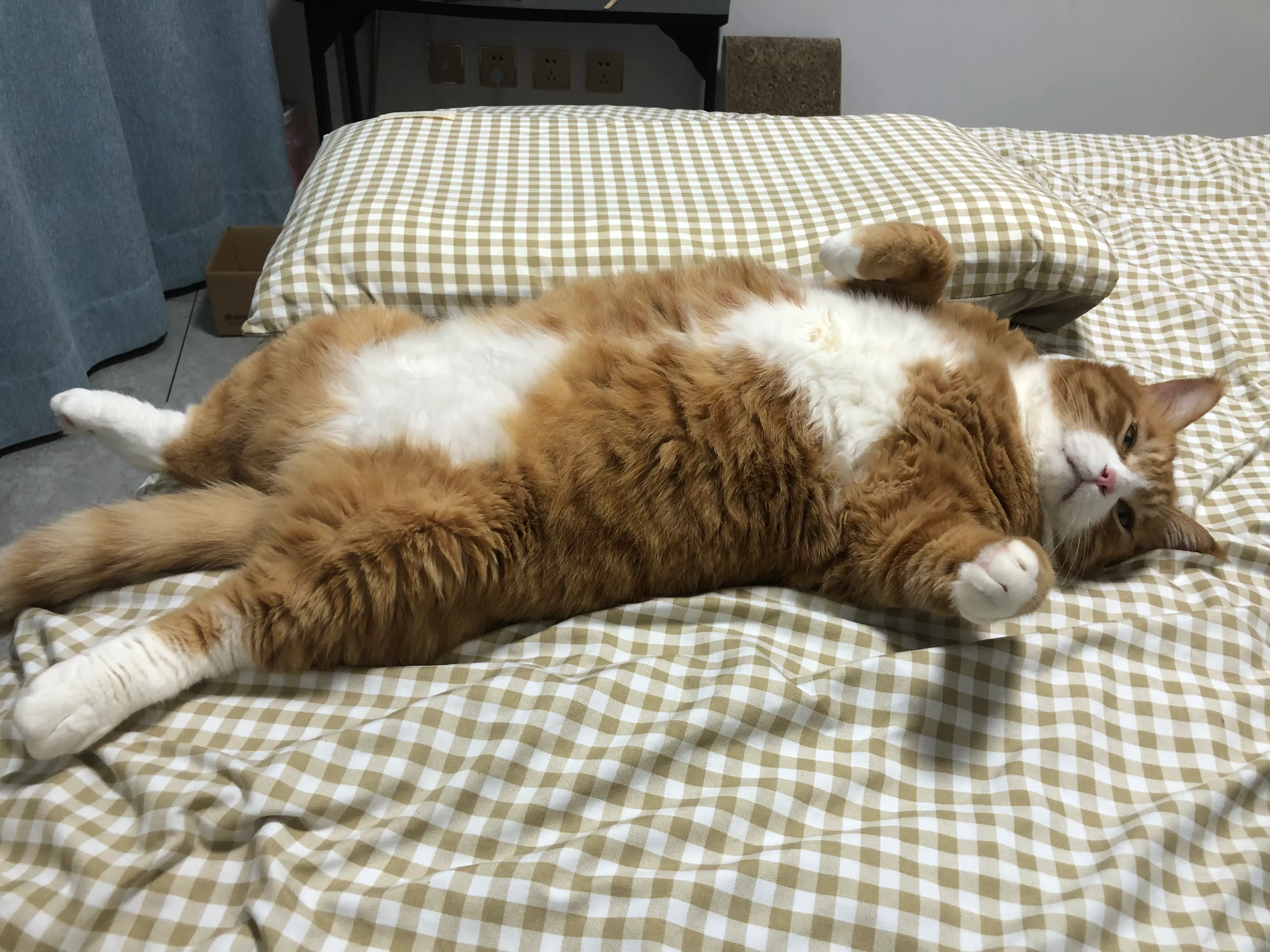 我大孩儿真大呀