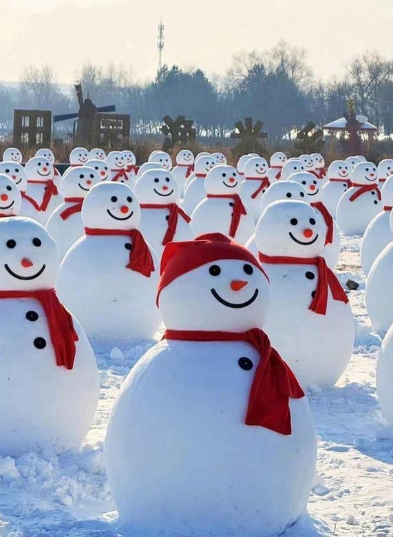 哈尔滨用16米大雪人和800个小雪人，组成雪人军团眼馋游客，

这是太用心了，萌