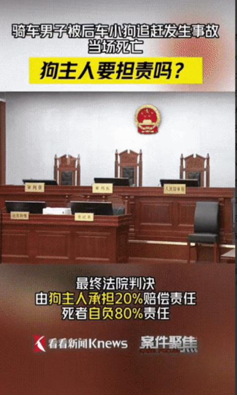 “太奇葩了！”上海松江，一男子骑电动车过程中，遭到宠物狗追赶，因只顾着看后方，导