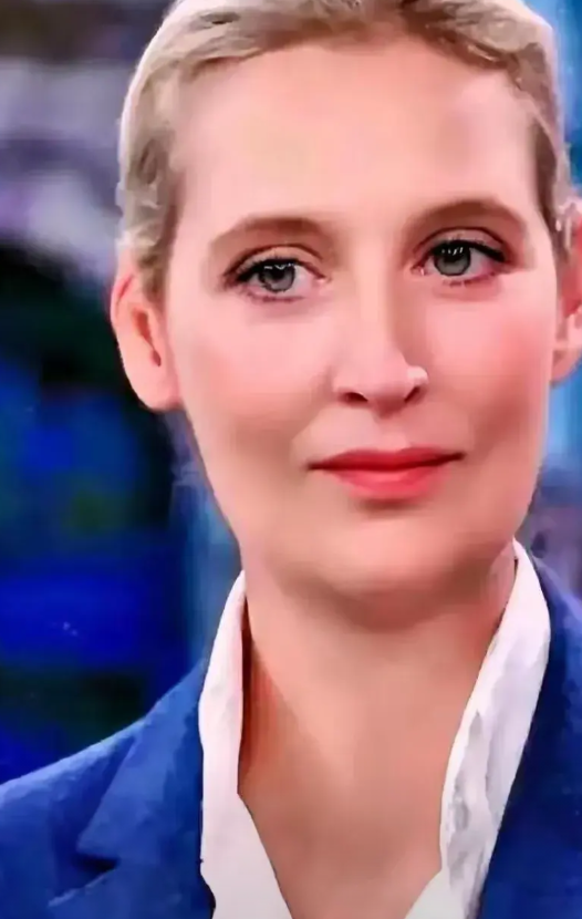 魏德尔想要上位也是不容易啊！
即使魏德尔成功当选了德国的总理，也不是那么容易发展