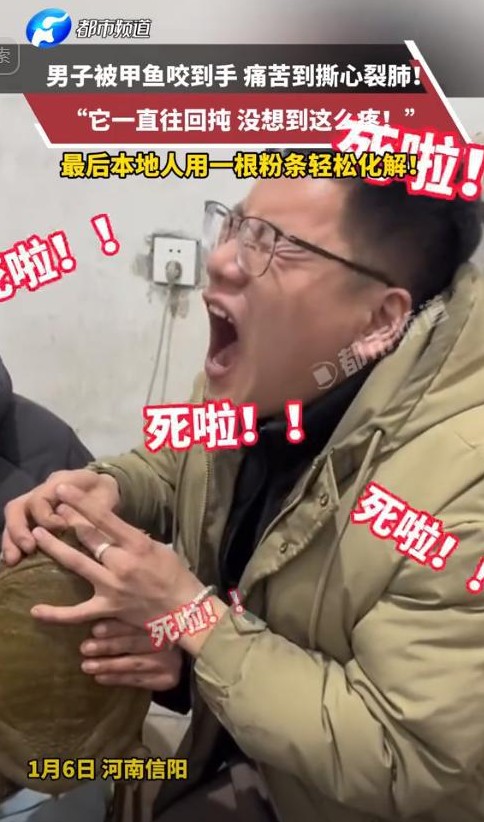 男子被甲鱼咬住 用粉条解救

                         