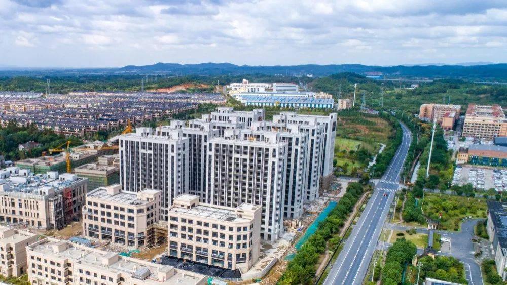 倚水“生金”创新实践，临港绿水经济带推动现代产业振兴