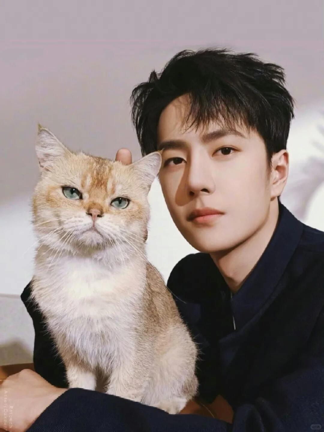 王一博：从少年偶像到全能艺人成长之路