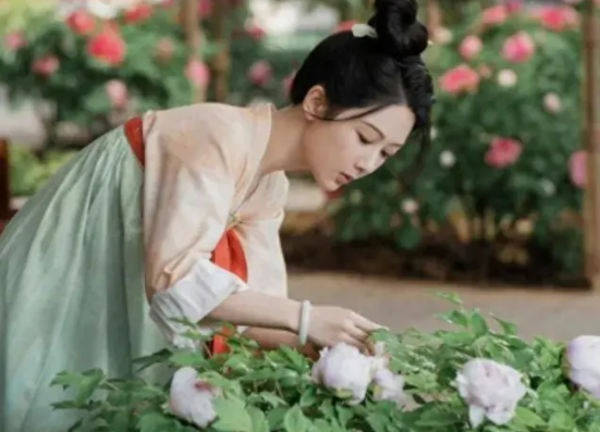 《国色芳华》里的琼台玉露究竟多值钱？去了长安的杨紫饰演的何惟芳为了新的户籍当掉了