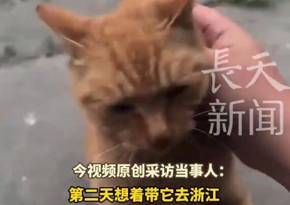 昔日的老家，阿震终于在几年后再次踏入这片土地，这背后藏着多少记忆与情感。眼前的老