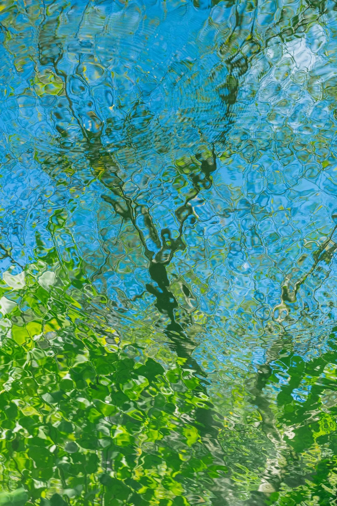 大自然的油画家💚
infp是真的很喜欢观察水面
📸：索尼A7M3