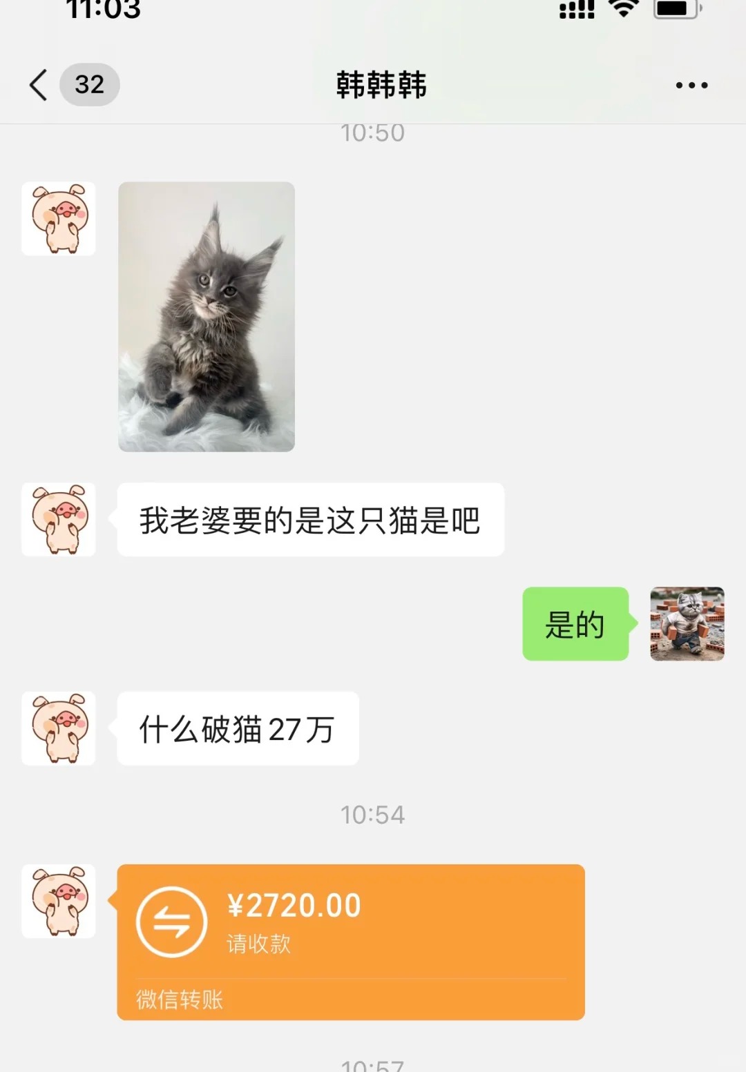大哥 你敢发 我不敢收啊
大哥是真的非常心疼媳妇
谁家的猫卖27万啊
27万都能