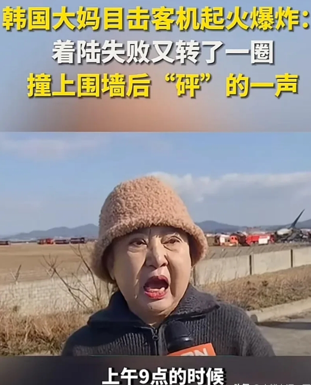 韩国大妈目睹了韩国客机失事的过程，大妈说机长没有正常着陆，而是飞了一圈然后反方向