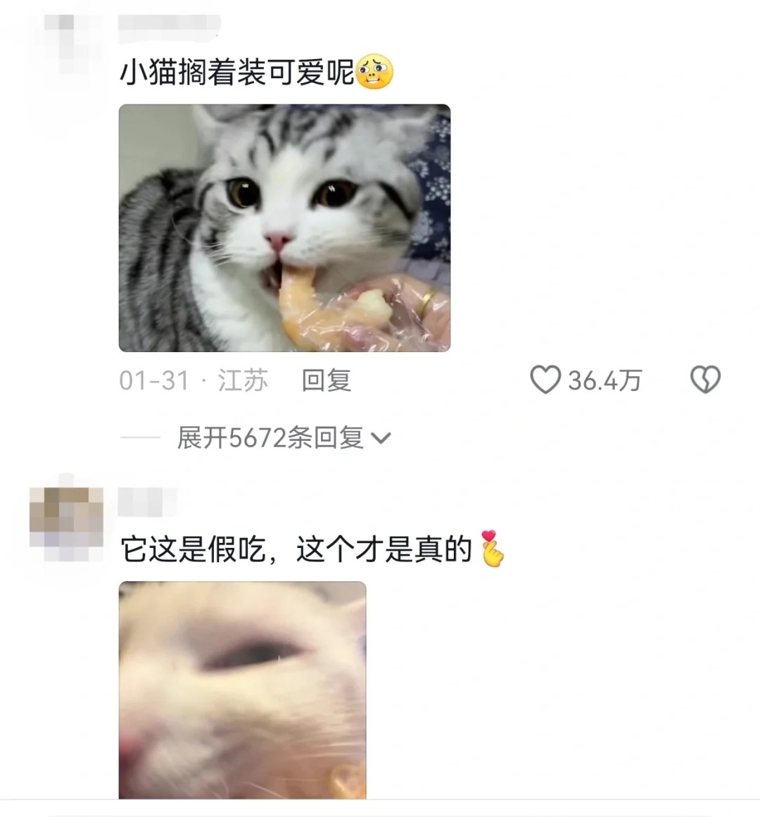 猫猫居然也会装可爱
不打开评论区是不是得被猫猫蒙在鼓里一辈子呢，以为它就吃这么点