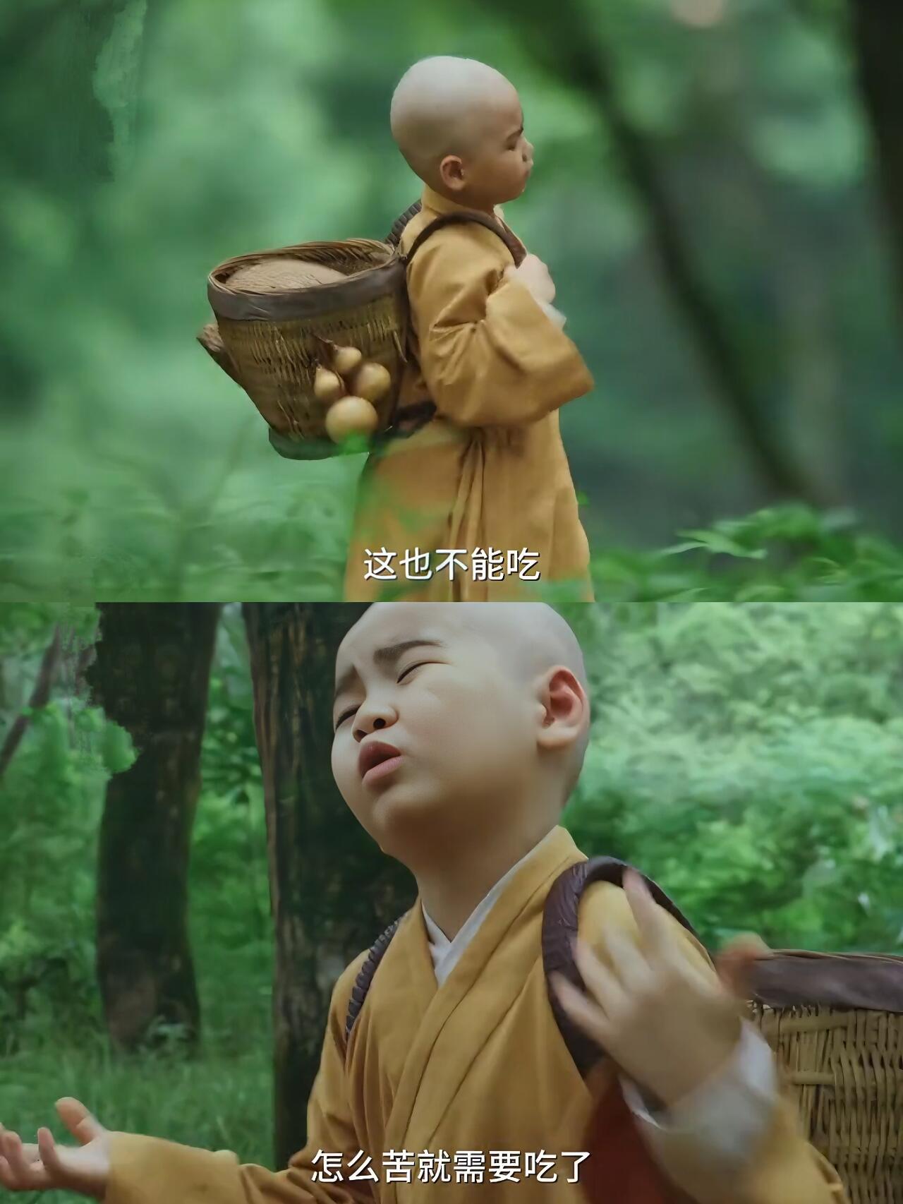 少年白马醉春风：无心继承了无禅的碎嘴子