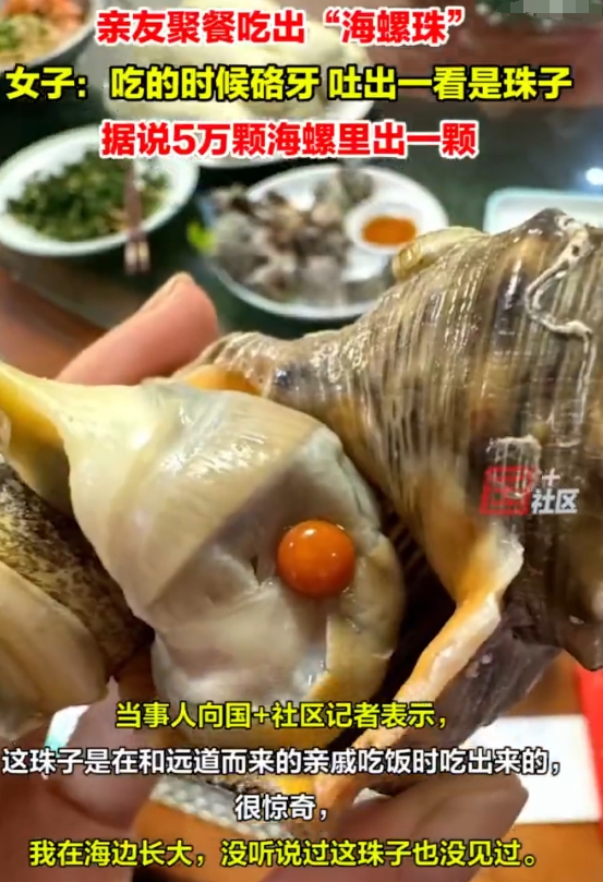 女子和亲友聚餐吃海螺时硌牙，吐出来一看，竟然是一颗橘色的“海螺珠”。

据资料显