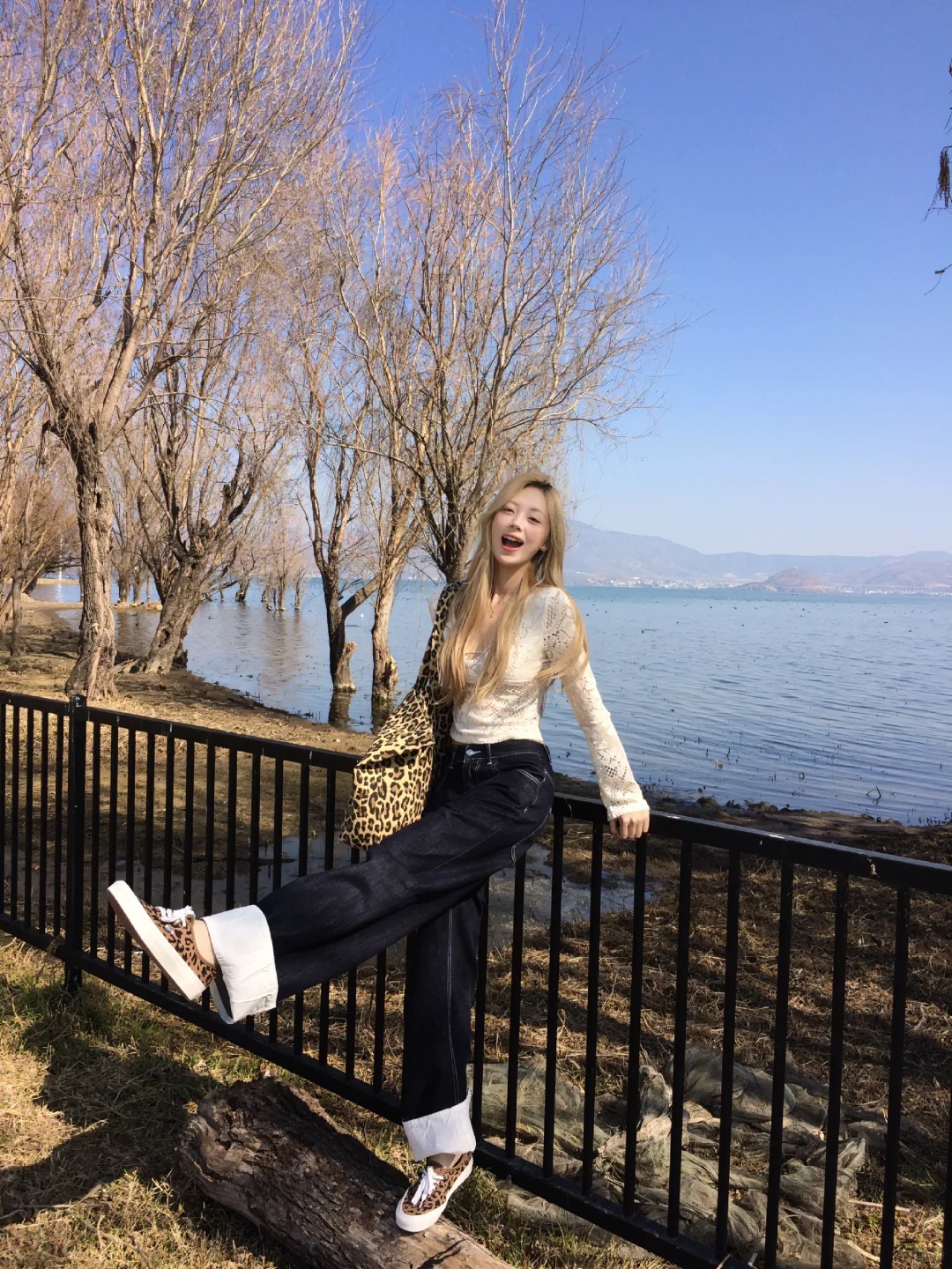 喜欢有生命力的夏天