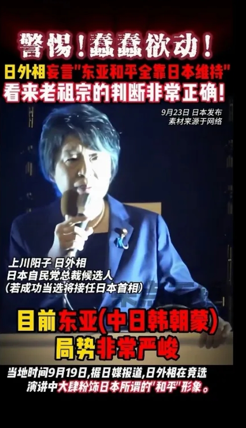 看看日外相的公开发言:东亚80年的和平，全是靠着日本的忍耐。

合着他们作为战败
