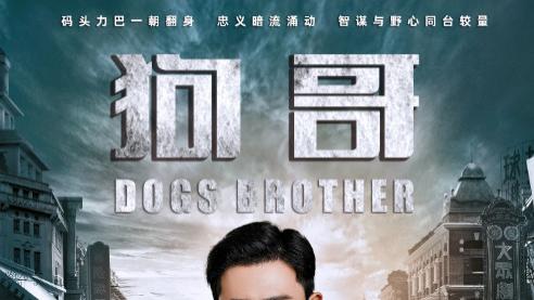 短剧在线观看《狗哥》完整版全集（101集）王昭＆邓赟达